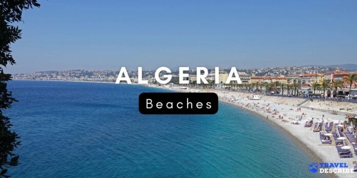 Beaches in Algeria