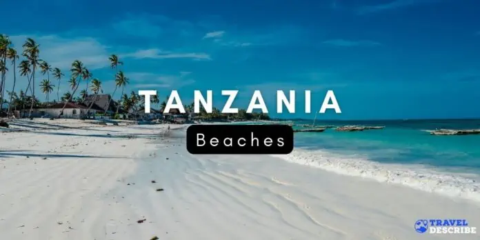 Beaches in Tanzania