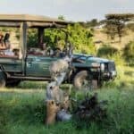 Offers Game Drives and Maasai Community Tours
