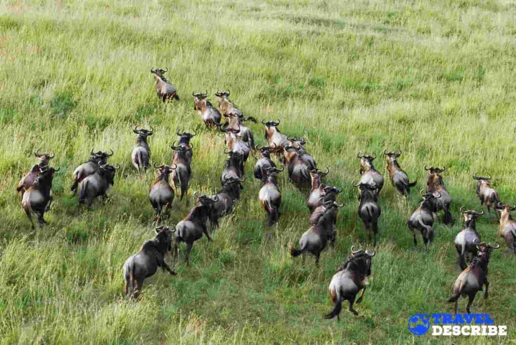 Low Season Best time to visit Tanzania